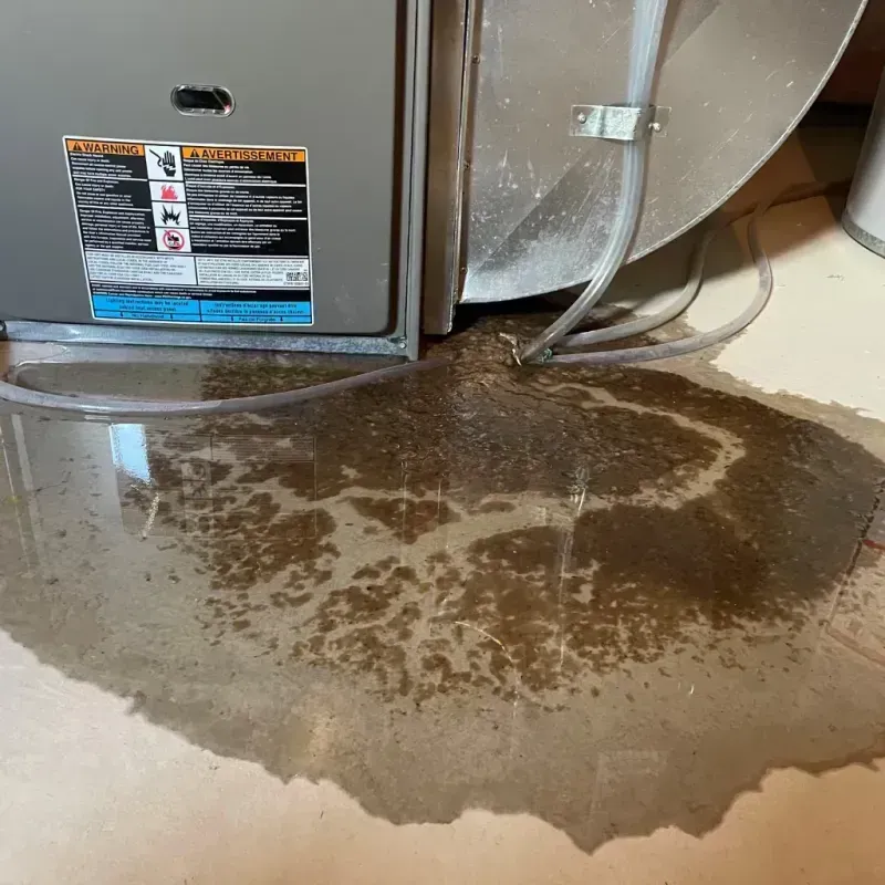 Appliance Leak Cleanup in Shannon, MS